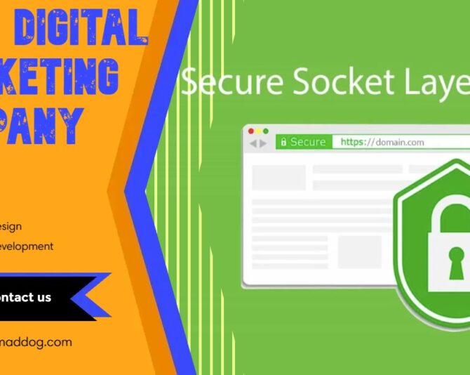 Unbreakable Shield: How SSL Encryption Safeguards Your Online Security?
